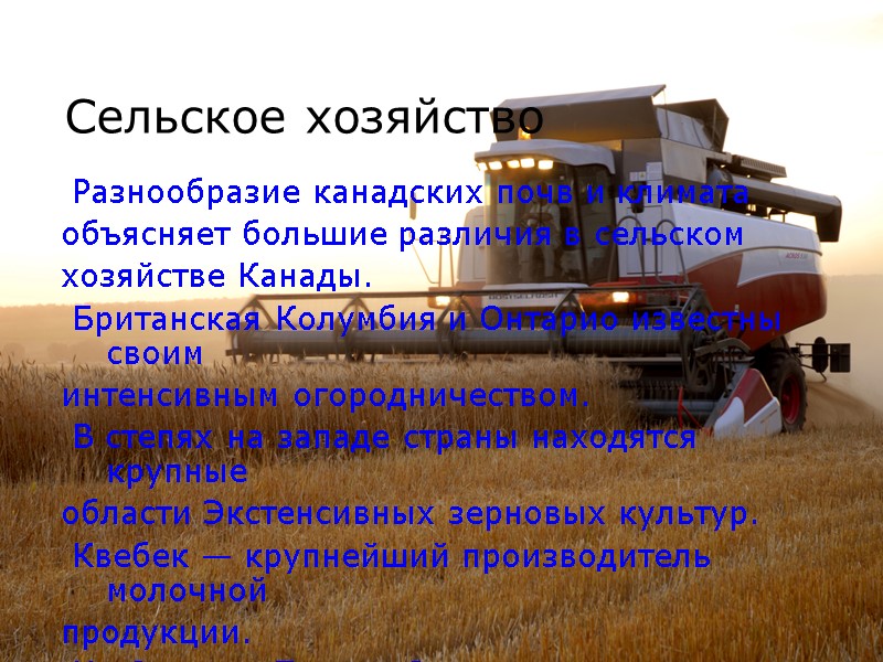 Сельское хозяйство   Разнообразие канадских почв и климата  объясняет большие различия в